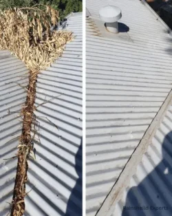 A project photo of a freshly cleaned steel roof gutter in Austin, TX—completely free of leaves and debris!
