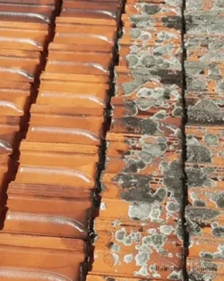 Check out this side-by-side comparison of a roof gutter in Austin, TX—before and after we cleared the downspout!
