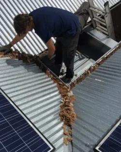 Here’s a photo of one of our professionals clearing leaves from a gutter above a metal shed in Austin, TX.